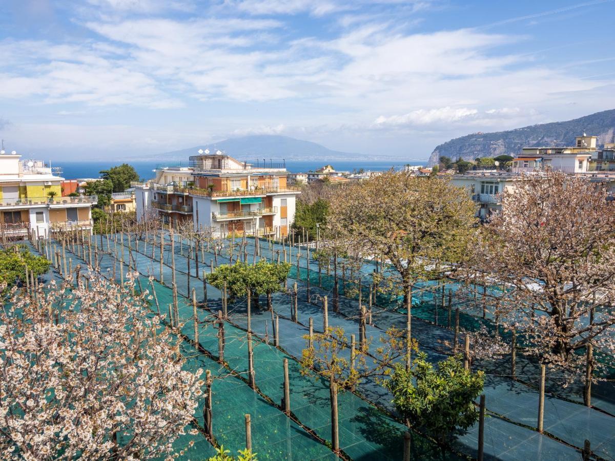 Yourhome - Corso Italia Apt In Półwysep Sorrentyński Zewnętrze zdjęcie